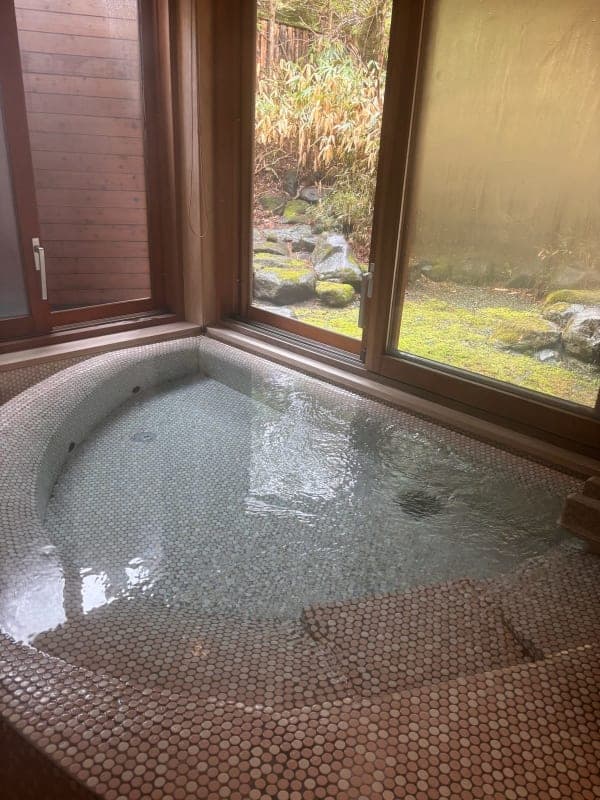 Relaxed Evening — Onsen, Bird Terrace & Tea