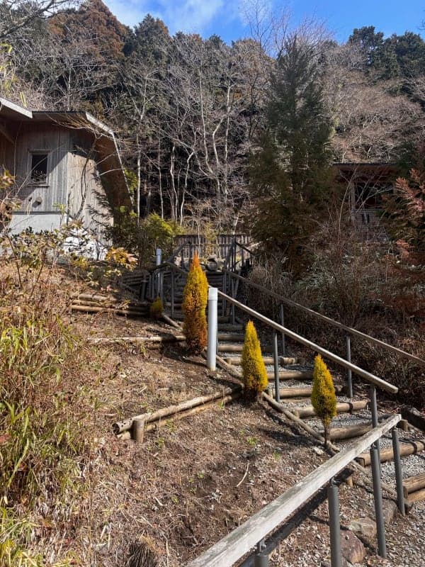 Relaxed Evening — Onsen, Bird Terrace & Tea