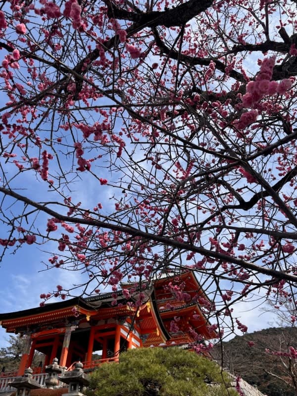 Kiyomizu-dera