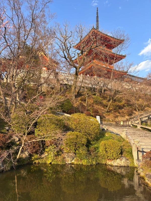 Walking after tea ceremony