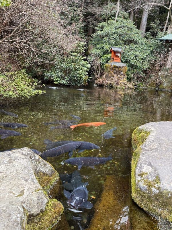 Hakone Shrine & Heiwa-no-Torii