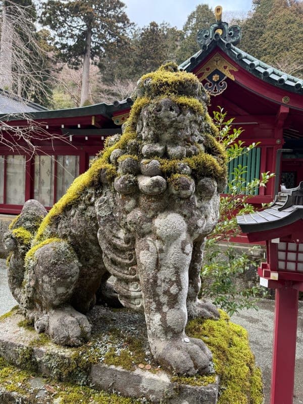 Hakone Shrine & Heiwa-no-Torii