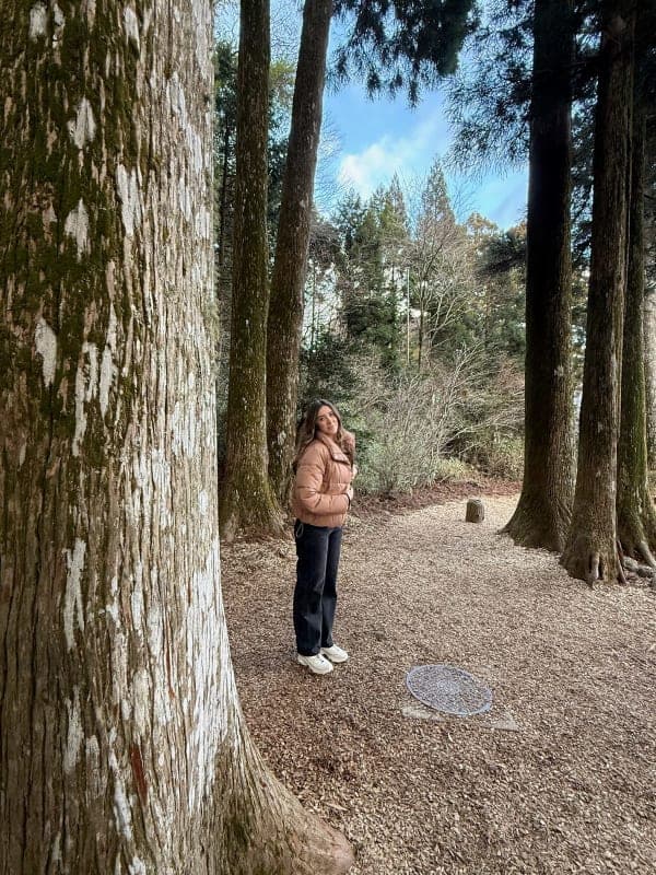 Hakone Shrine & Heiwa-no-Torii