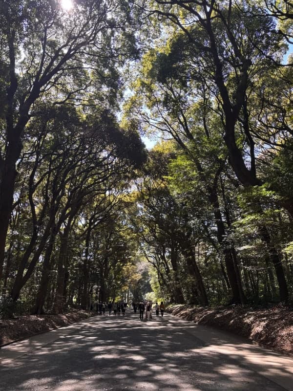 Meiji Jingu Shrine