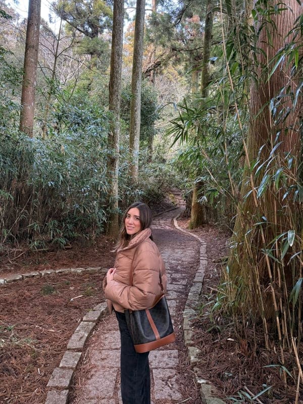 Hakone Shrine & Heiwa-no-Torii