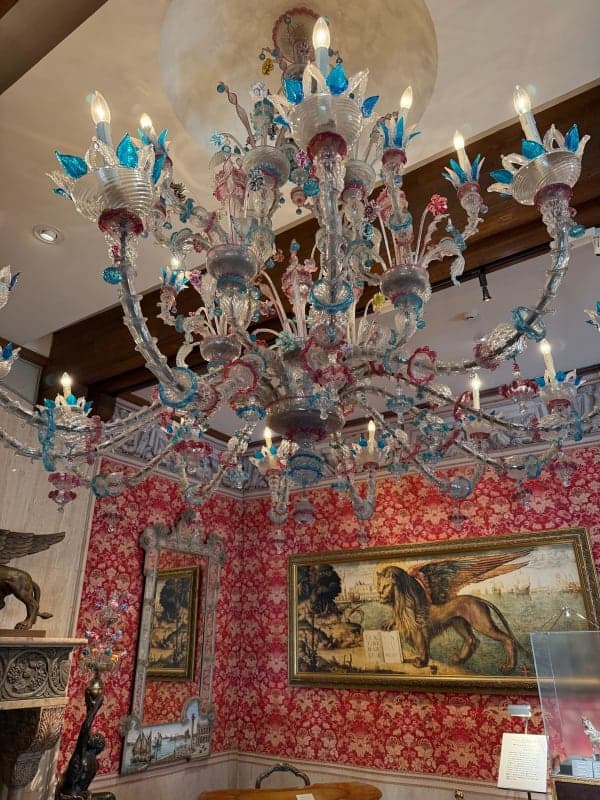 E-Bike Ride — Sengokuhara Route 1