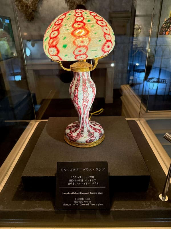 E-Bike Ride — Sengokuhara Route 1