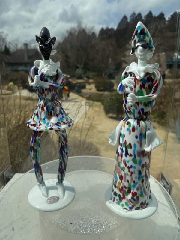 E-Bike Ride — Sengokuhara Route 1