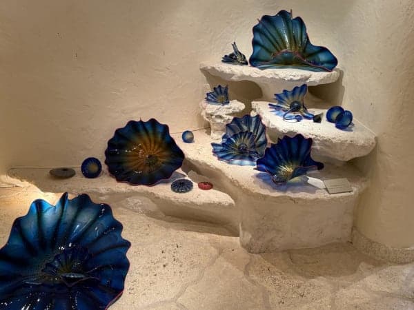 E-Bike Ride — Sengokuhara Route 1