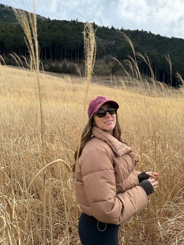 Hakone Sengokuhara Silvergrass Fields