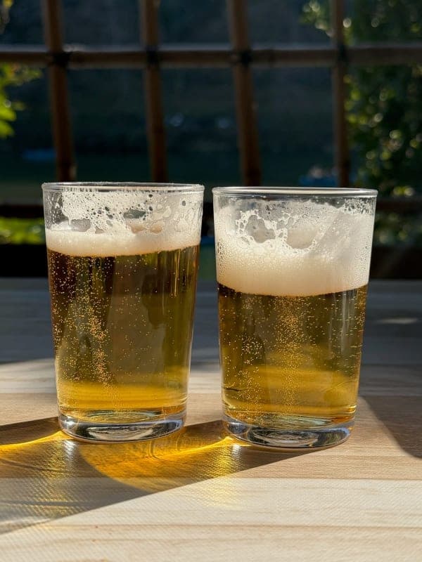 Lunch — Kameyamaya