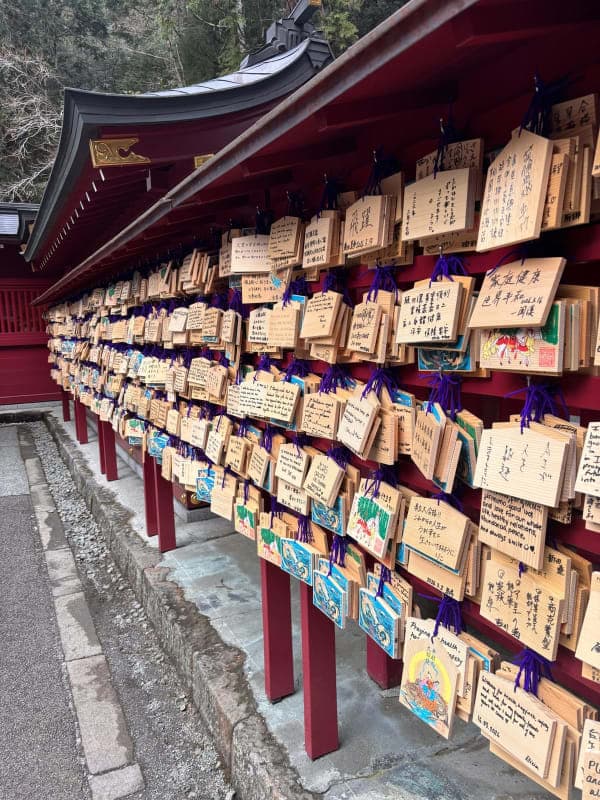 Hakone Shrine & Heiwa-no-Torii