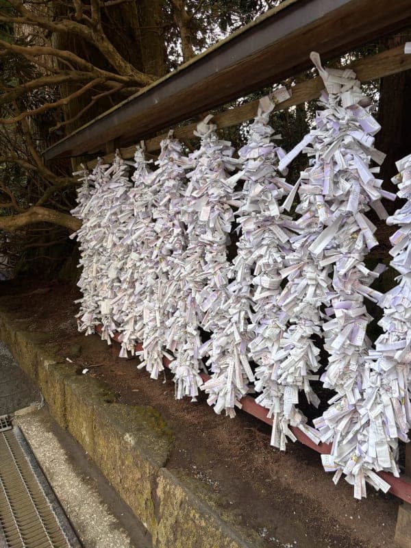 Hakone Shrine & Heiwa-no-Torii