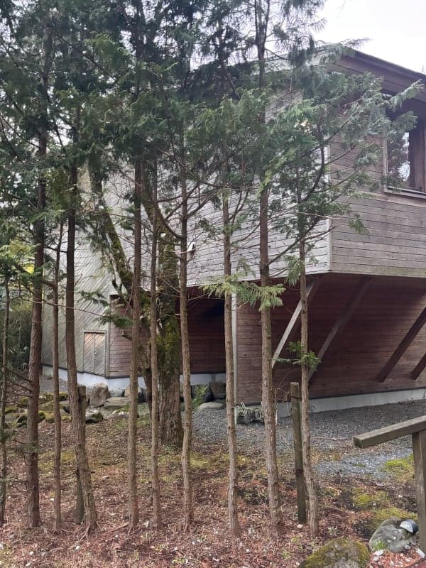 Hakone Villa Retreat — Afternoon with Private Onsen