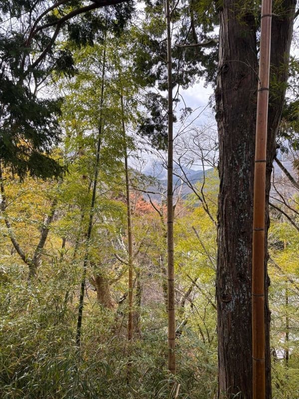 Hakone Villa Retreat — Afternoon with Private Onsen