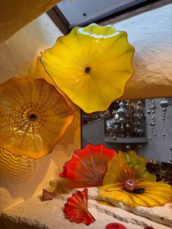 E-Bike Ride — Sengokuhara Route 1