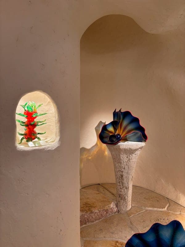 E-Bike Ride — Sengokuhara Route 1