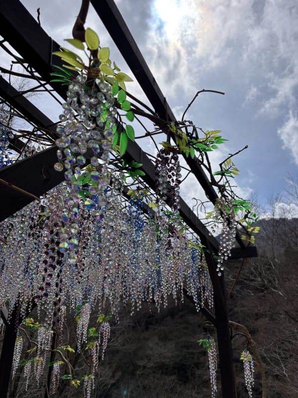 E-Bike Ride — Sengokuhara Route 1